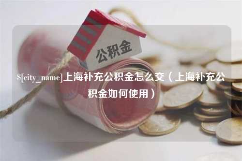 克孜勒苏上海补充公积金怎么交（上海补充公积金如何使用）